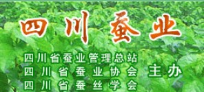 �Ĵ��Q�I(y��)